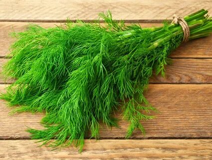 تصویر 1 از فروش روز سبزی شوید خشک صادراتی با قیمت خرید اقتصادی